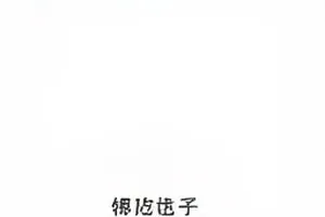 玻璃幕墙反射出午休时分的办公区走廊